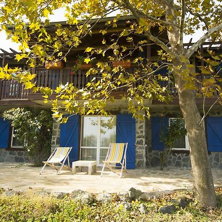 فيلا Art Provence House لوزينيتس المظهر الخارجي الصورة