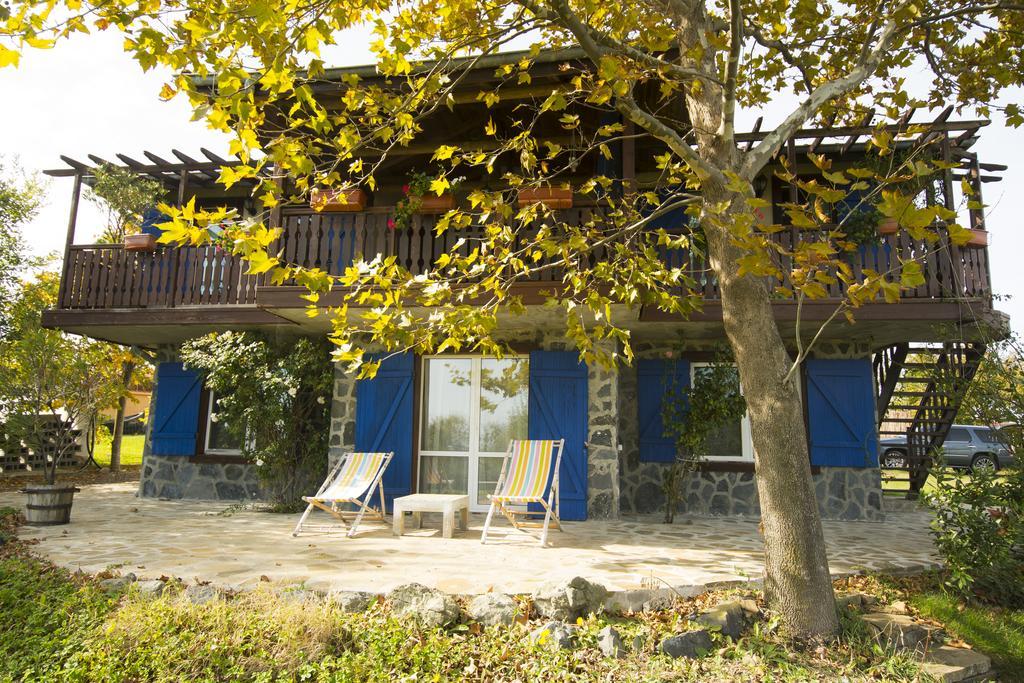 فيلا Art Provence House لوزينيتس المظهر الخارجي الصورة